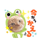 スコのジョニーちゃん♡デカ文字4♡（個別スタンプ：37）