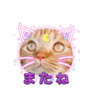 スコのジョニーちゃん♡デカ文字4♡（個別スタンプ：40）