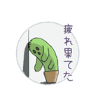 サボテンと多肉植物（個別スタンプ：19）