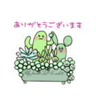 サボテンと多肉植物（個別スタンプ：40）