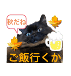 黒猫 ルナ院長103にゃんめ 秋編（個別スタンプ：4）