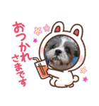 我が家のアイドル こうめちゃんスタンプ②（個別スタンプ：1）
