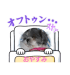 我が家のアイドル こうめちゃんスタンプ②（個別スタンプ：4）