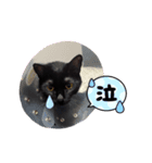 マーチちゃんが可愛い（実写）（個別スタンプ：4）