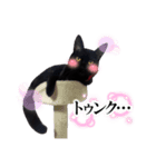 マーチちゃんが可愛い（実写）（個別スタンプ：7）