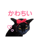 マーチちゃんが可愛い（実写）（個別スタンプ：8）