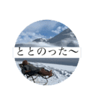 Laatikko Moving SAUNAスタンプ#1（個別スタンプ：16）