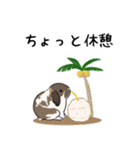 うさぽんの夏うさぎスタンプ1（個別スタンプ：30）