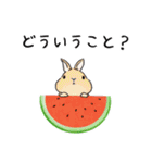 うさぽんの夏うさぎスタンプ1（個別スタンプ：35）