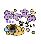 柴犬ハクト3（個別スタンプ：4）