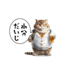 キレ良く動くダイエット猫？！時々サボる…（個別スタンプ：7）