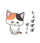 にゃんちょこりん(三毛猫)（個別スタンプ：4）