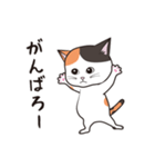 にゃんちょこりん(三毛猫)（個別スタンプ：15）