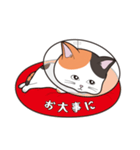 にゃんちょこりん(三毛猫)（個別スタンプ：30）