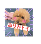 のあとAlohaの日常スタンプ.（個別スタンプ：1）