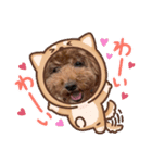 のあとAlohaの日常スタンプ.（個別スタンプ：3）