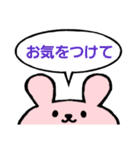 文字大きめ挨拶スタンプ*うさぎ（個別スタンプ：20）