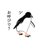 ペンギンいっぱい（個別スタンプ：18）