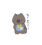 ウォンバットです。（個別スタンプ：24）
