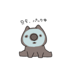 ウォンバットです。（個別スタンプ：26）