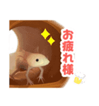 そらくんともやし（個別スタンプ：10）