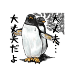 意外と使えるメンタル5歳なリアルペンギン（個別スタンプ：3）