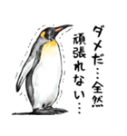 意外と使えるメンタル5歳なリアルペンギン（個別スタンプ：7）