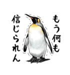 意外と使えるメンタル5歳なリアルペンギン（個別スタンプ：8）