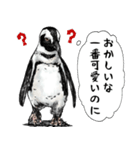 意外と使えるメンタル5歳なリアルペンギン（個別スタンプ：12）