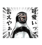 意外と使えるメンタル5歳なリアルペンギン（個別スタンプ：18）