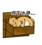 やる気がでない短足にゃんこスタンプ（個別スタンプ：12）