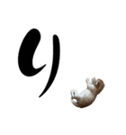 ねこだらけ ねこねこねっこ（個別スタンプ：16）