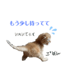 ねこだらけ ねこねこねっこ（個別スタンプ：18）