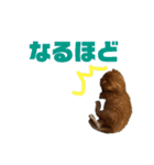 ねこだらけ ねこねこねっこ（個別スタンプ：32）