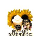 ダックスLoveちゃん42夏ーお花とグリーン（個別スタンプ：20）