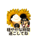 ダックスLoveちゃん42夏ーお花とグリーン（個別スタンプ：21）