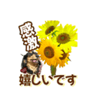 ダックスLoveちゃん42夏ーお花とグリーン（個別スタンプ：28）