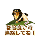 ダックスLoveちゃん42夏ーお花とグリーン（個別スタンプ：35）