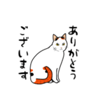 みけねこ、みっけ♪（個別スタンプ：1）