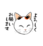 みけねこ、みっけ♪（個別スタンプ：2）