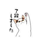 みけねこ、みっけ♪（個別スタンプ：3）