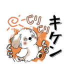 【New Ver.】シーズー犬 6『夏真っ盛り』（個別スタンプ：4）