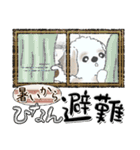 【New Ver.】シーズー犬 6『夏真っ盛り』（個別スタンプ：21）