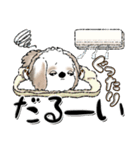 【New Ver.】シーズー犬 6『夏真っ盛り』（個別スタンプ：28）