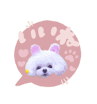 アネミルスタンプ（個別スタンプ：4）