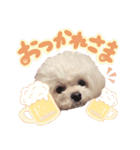 アネミルスタンプ（個別スタンプ：9）