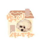 アネミルスタンプ（個別スタンプ：12）