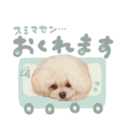 アネミルスタンプ（個別スタンプ：18）