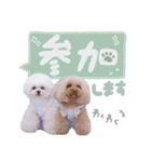 アネミルスタンプ（個別スタンプ：20）