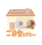 アネミルスタンプ（個別スタンプ：24）